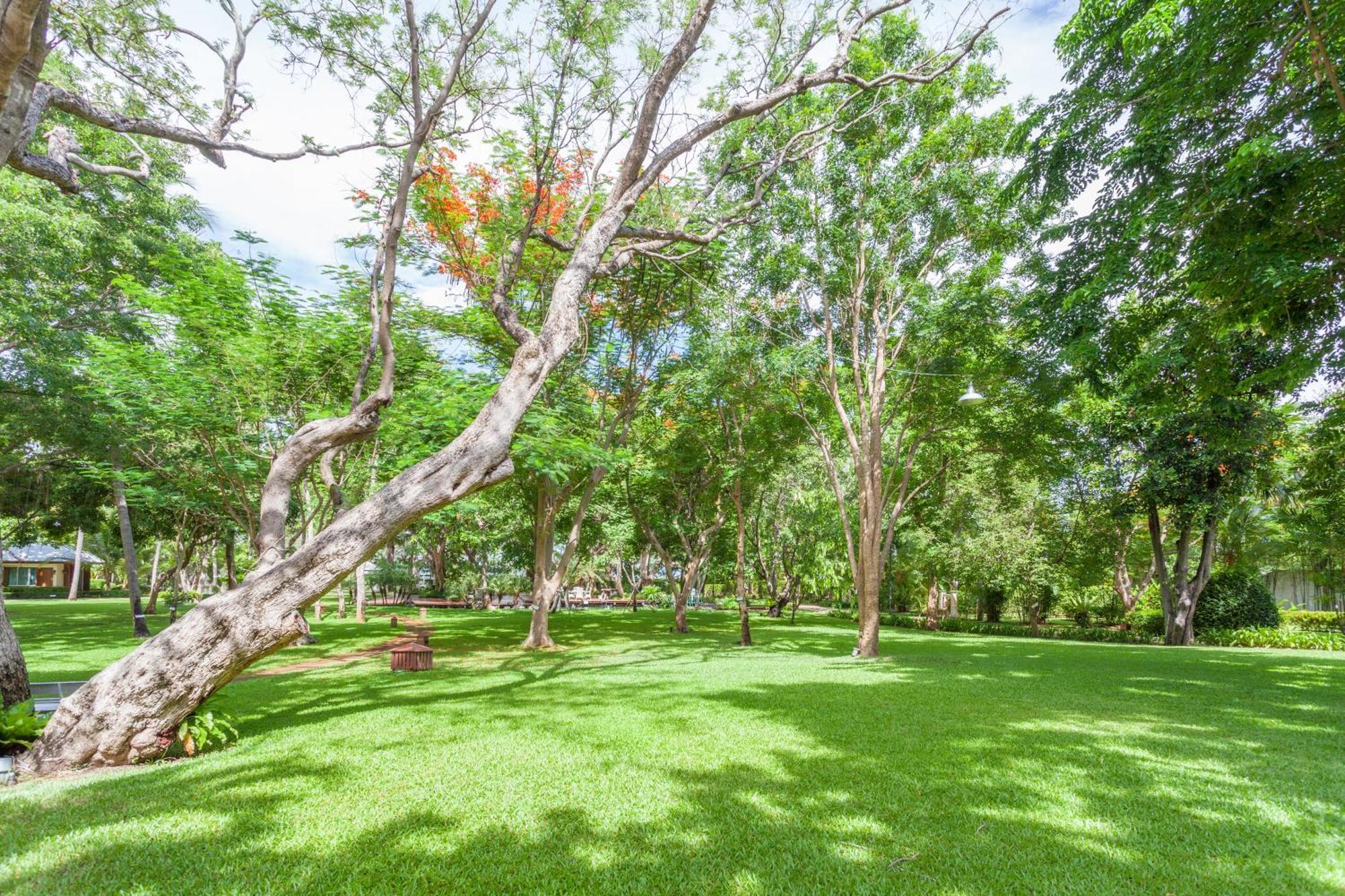 Raya Resort Beach Front - The Most Green Resort In Cha-Am Eksteriør billede